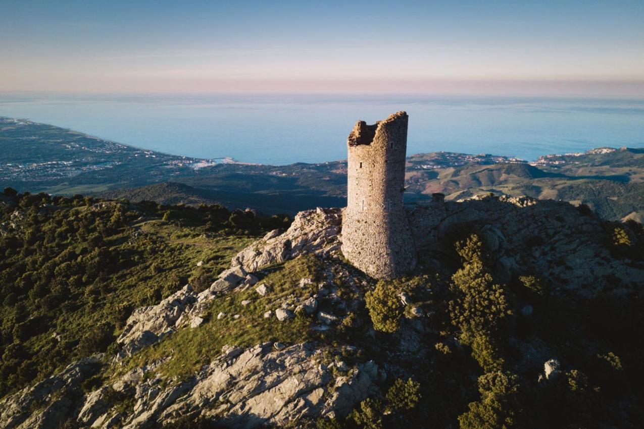 Gite Le Canigou 3* Dans Un Mas Typique Catalan Prades  Esterno foto